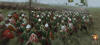  , : Total World, : Total War  Medieval-2:Total War  internetwars.ru