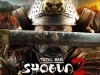 Shogun 2: Realism, мод  для Total War: Shogun 2  на Internetwars.ru 
